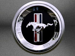 Fachwerkstatt für Ford Mustang
